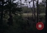 Image of United States1st Cavalry Division Vietnam, 1965, second 24 stock footage video 65675045325