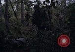 Image of United States1st Cavalry Division Vietnam, 1965, second 26 stock footage video 65675045325