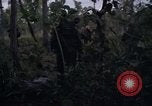 Image of United States1st Cavalry Division Vietnam, 1965, second 27 stock footage video 65675045325