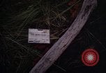 Image of United States1st Cavalry Division Vietnam, 1965, second 4 stock footage video 65675045326