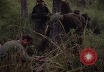 Image of United States1st Cavalry Division Vietnam, 1965, second 7 stock footage video 65675045326