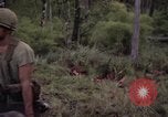 Image of United States1st Cavalry Division Vietnam, 1965, second 21 stock footage video 65675045326