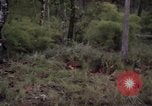 Image of United States1st Cavalry Division Vietnam, 1965, second 22 stock footage video 65675045326
