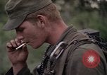 Image of United States1st Cavalry Division Vietnam, 1965, second 32 stock footage video 65675045326