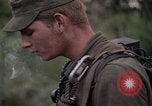 Image of United States1st Cavalry Division Vietnam, 1965, second 35 stock footage video 65675045326
