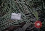 Standbild USA1st Kavallerie Division Vietnam, 1965, aus Sekunde 3 historischem Filmmaterial Videoclip 65675045328
