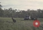 Standbild USA1st Kavallerie Division Vietnam, 1965, aus Sekunde 28 historischem Filmmaterial Videoclip 65675045328