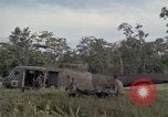 Standbild USA1st Kavallerie Division Vietnam, 1965, aus Sekunde 42 historischem Filmmaterial Videoclip 65675045328