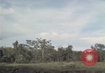 Standbild USA1st Kavallerie Division Vietnam, 1965, aus Sekunde 58 historischem Filmmaterial Videoclip 65675045328