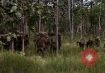 Standbild USA1st Kavallerie Division Vietnam, 1965, aus Sekunde 5 historischem Filmmaterial Videoclip 65675045331