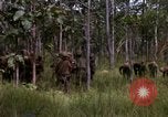 Standbild USA1st Kavallerie Division Vietnam, 1965, aus Sekunde 6 historischem Filmmaterial Videoclip 65675045331