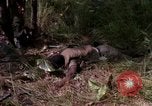 Standbild USA1st Kavallerie Division Vietnam, 1965, aus Sekunde 33 historischem Filmmaterial Videoclip 65675045331