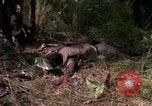 Standbild USA1st Kavallerie Division Vietnam, 1965, aus Sekunde 35 historischem Filmmaterial Videoclip 65675045331