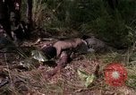 Standbild USA1st Kavallerie Division Vietnam, 1965, aus Sekunde 36 historischem Filmmaterial Videoclip 65675045331
