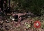 Standbild USA1st Kavallerie Division Vietnam, 1965, aus Sekunde 37 historischem Filmmaterial Videoclip 65675045331