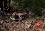Standbild USA1st Kavallerie Division Vietnam, 1965, aus Sekunde 38 historischem Filmmaterial Videoclip 65675045331