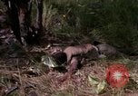 Standbild USA1st Kavallerie Division Vietnam, 1965, aus Sekunde 39 historischem Filmmaterial Videoclip 65675045331