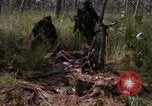 Standbild USA1st Kavallerie Division Vietnam, 1965, aus Sekunde 51 historischem Filmmaterial Videoclip 65675045331
