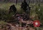 Standbild USA1st Kavallerie Division Vietnam, 1965, aus Sekunde 52 historischem Filmmaterial Videoclip 65675045331