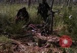 Standbild USA1st Kavallerie Division Vietnam, 1965, aus Sekunde 53 historischem Filmmaterial Videoclip 65675045331