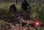 Standbild USA1st Kavallerie Division Vietnam, 1965, aus Sekunde 54 historischem Filmmaterial Videoclip 65675045331