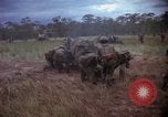 Standbild USA1st Kavallerie Division Vietnam, 1965, aus Sekunde 18 historischem Filmmaterial Videoclip 65675045334