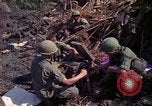 Image of 173rd Airborne Brigade Vietnam, 1966, second 6 stock footage video 65675045341