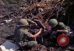 Image of 173rd Airborne Brigade Vietnam, 1966, second 7 stock footage video 65675045341