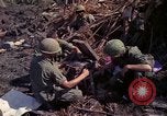 Image of 173rd Airborne Brigade Vietnam, 1966, second 9 stock footage video 65675045341