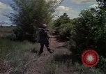 Image of 173rd Airborne Brigade Vietnam, 1966, second 55 stock footage video 65675045341
