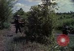 Image of 173rd Airborne Brigade Vietnam, 1966, second 57 stock footage video 65675045341