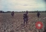 Image of 173rd Airborne Brigade Vietnam, 1966, second 26 stock footage video 65675045342