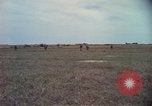 Image of 173rd Airborne Brigade Vietnam, 1966, second 36 stock footage video 65675045342