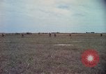 Image of 173rd Airborne Brigade Vietnam, 1966, second 37 stock footage video 65675045342