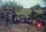Image of 173rd Airborne Brigade Vietnam, 1966, second 20 stock footage video 65675045343