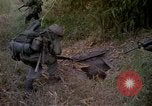 Image of 173rd Airborne Brigade Vietnam, 1966, second 5 stock footage video 65675045344