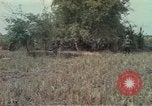 Image of 173rd Airborne Brigade Vietnam, 1966, second 23 stock footage video 65675045344