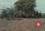 Image of 173rd Airborne Brigade Vietnam, 1966, second 26 stock footage video 65675045344