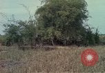 Image of 173rd Airborne Brigade Vietnam, 1966, second 27 stock footage video 65675045344