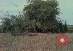 Image of 173rd Airborne Brigade Vietnam, 1966, second 29 stock footage video 65675045344