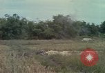 Image of 173rd Airborne Brigade Vietnam, 1966, second 31 stock footage video 65675045344