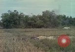 Image of 173rd Airborne Brigade Vietnam, 1966, second 32 stock footage video 65675045344