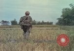 Image of 173rd Airborne Brigade Vietnam, 1966, second 40 stock footage video 65675045344