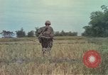 Image of 173rd Airborne Brigade Vietnam, 1966, second 41 stock footage video 65675045344
