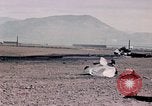 Image of crashed B-52 California United States USA, 1978, second 6 stock footage video 65675045351