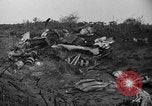 Image De l'écrasement du numéro 42-65283 B-29 Tinian île Îles Mariannes, 1945, de la seconde 35 séquences d'archives historiques vidéo 65675045365
