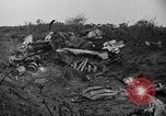 Image De l'écrasement du numéro 42-65283 B-29 Tinian île Îles Mariannes, 1945, de la seconde 38 séquences d'archives historiques vidéo 65675045365