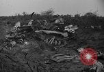 Image De l'écrasement du numéro 42-65283 B-29 Tinian île Îles Mariannes, 1945, de la seconde 44 séquences d'archives historiques vidéo 65675045365