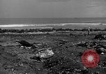 Standbild B-29 Crash Insel Tinian Marianen, 1945, aus Sekunde 47 historischem Filmmaterial Videoclip 65675045366