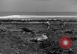 Standbild B-29 Crash Insel Tinian Marianen, 1945, aus Sekunde 50 historischem Filmmaterial Videoclip 65675045366